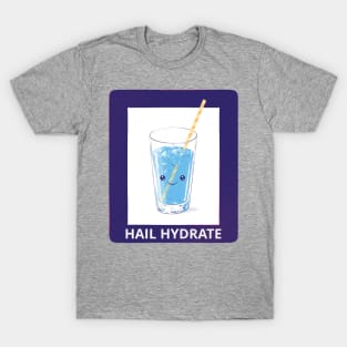 Hail Hydrate! T-Shirt